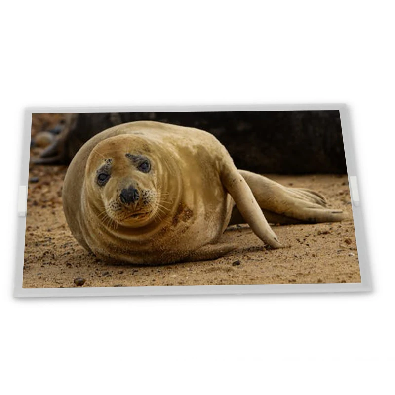 LTM08C355A LTM08C355U LTM08C355S 8.4 TFT-LCD Display Screen Zhiyan supply