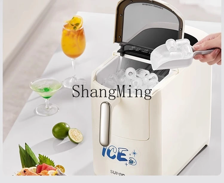 ZYY piccola macchina per il ghiaccio domestica mini macchina da cucina per stalla esterna a bassa potenza