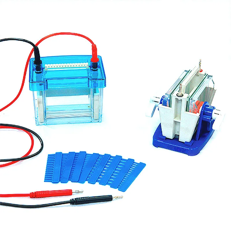 Gel Electrophoresis Cell Mini Modular Dual Vertical Protein Electrophoresis Tank DYCZ-24DN For SDS-PAGE Protein Experiment