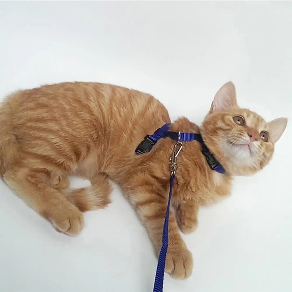 Dropshipping!!Nylon Pet Lead Leash Harness Kitten Belt Strap Safety Rope Adjustable Dog Cat Collar