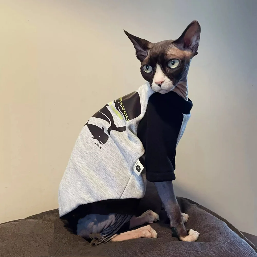 Cartoon Dinosaur Sweatshirt for Sphynx Cat Thick Grey Coat for Kittens Spring Winter Soft Warm Loungewear for Devon Rex