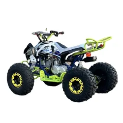 125CC ATV AUTO Off Road Motorcycle 2WD/Chain Driver Quad Bike CDI Four Wheel Motorcycle Children Teenagers ATV UTV