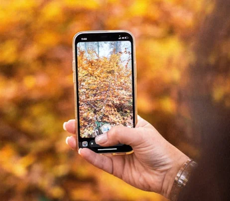 

Новейшее устройство для лазерной эпиляции с диодом ND: YAG — тройная длина волны, мощность 3500 Вт, безболезненное и постоянное 808 нм + 1064 нм + 755 нм