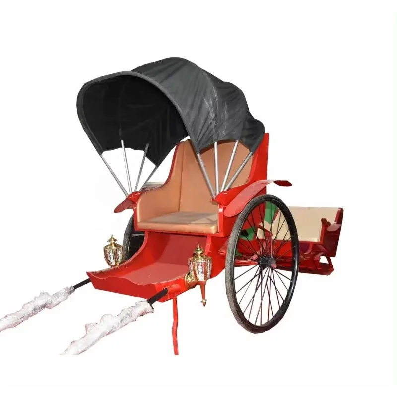 Classic Hand Pulled Wagon 2 Wheels Manpower Bicycle Rickshaw