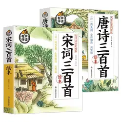 Livros de Leitura Extracurricular para Educação Infantil, Tang Song 300, 2 Volumes de Canção, Estudantes do Ensino Fundamental