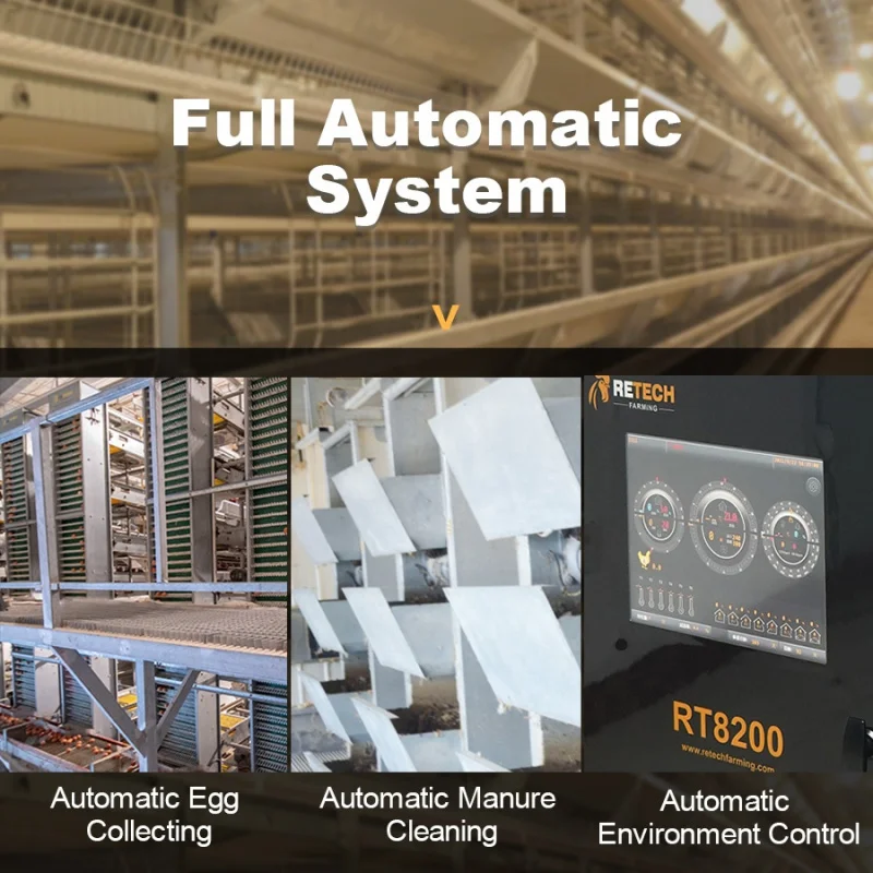 自動鶏舎ケージ養鶏設備