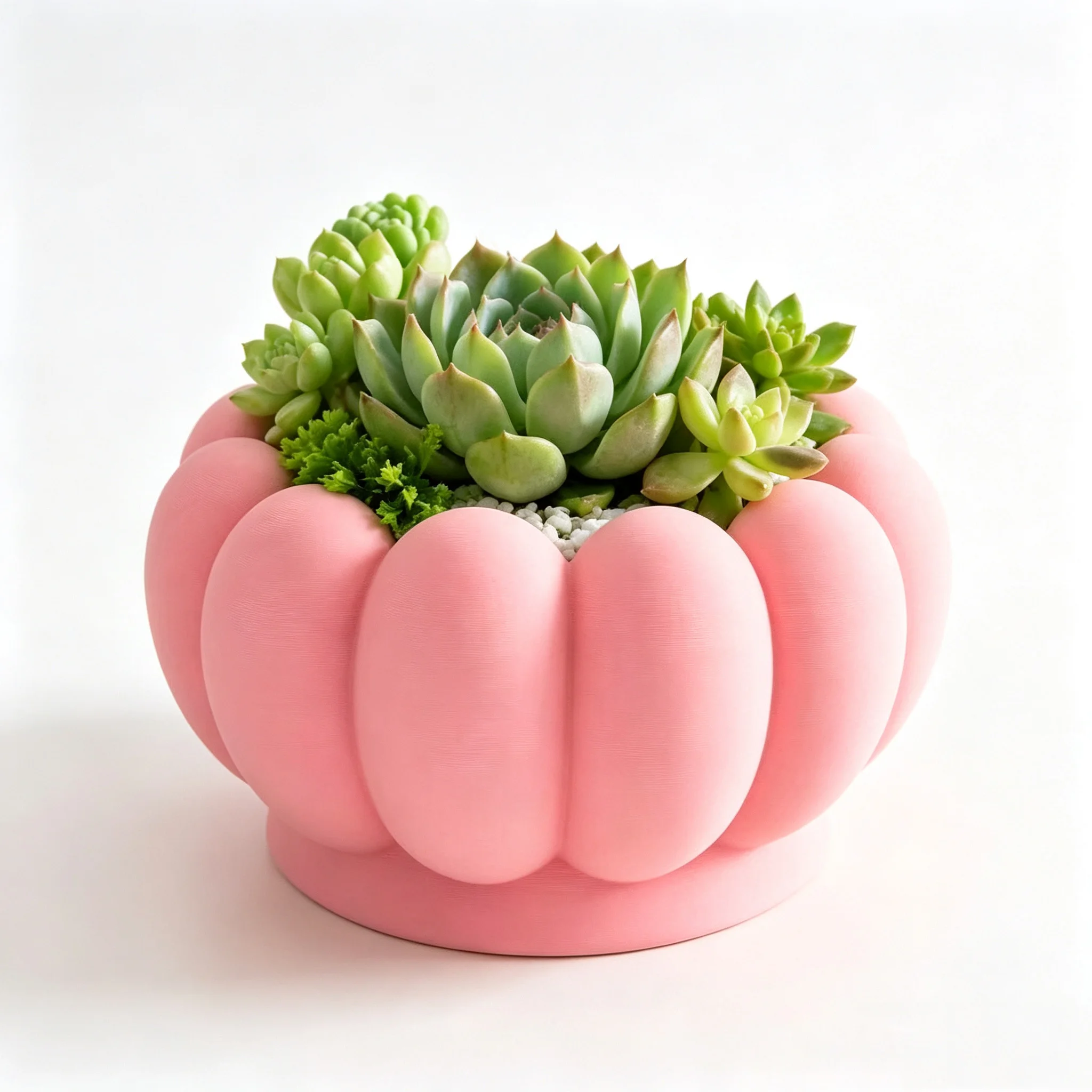 Snake Plant Ceramic - Maceta con Forma de Calabaza para