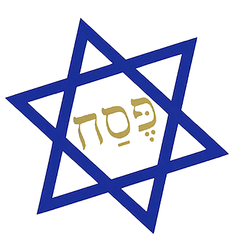 مئزر الطبخ بنجمة ديفيد العبرية ، عطلة يهودية ، عيد الفصح ، مطبخ بيساش ، ديكور المنزل ، هدية لأمي ، الزوجة ، المضيفة ، الحاضرة #2