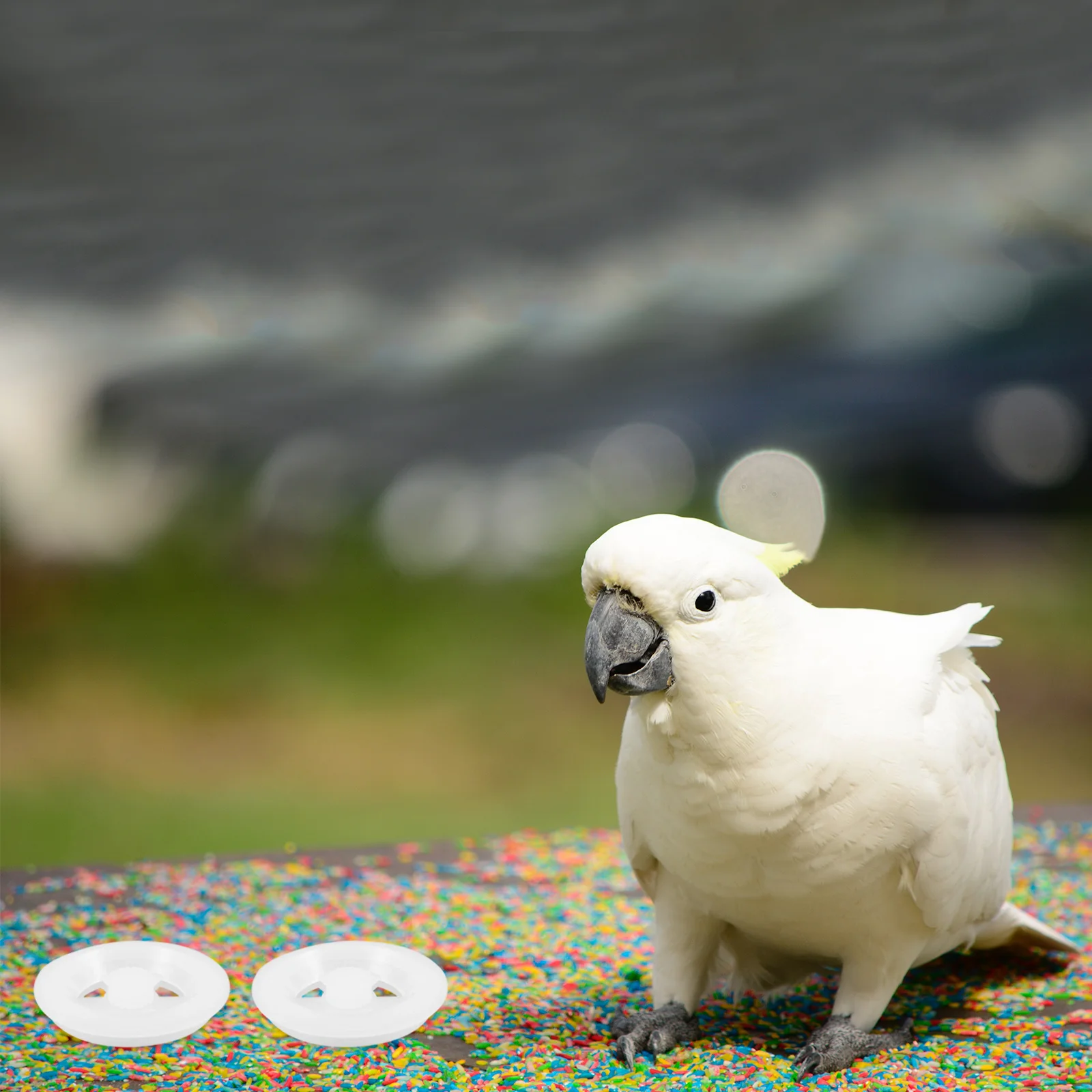 5 قطعة حاضنة الطيور فتحة تهوية قابل للتعديل التحكم في تدفق الهواء لتنظيم درجة الحرارة الببغاء صندوق التعشيش الملحقات #4