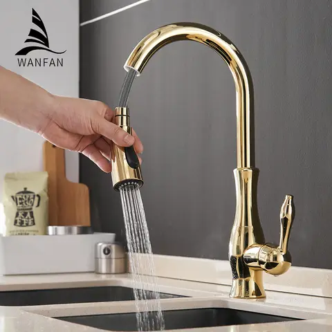 Gold Silver Kitchen Faucet WANFAN