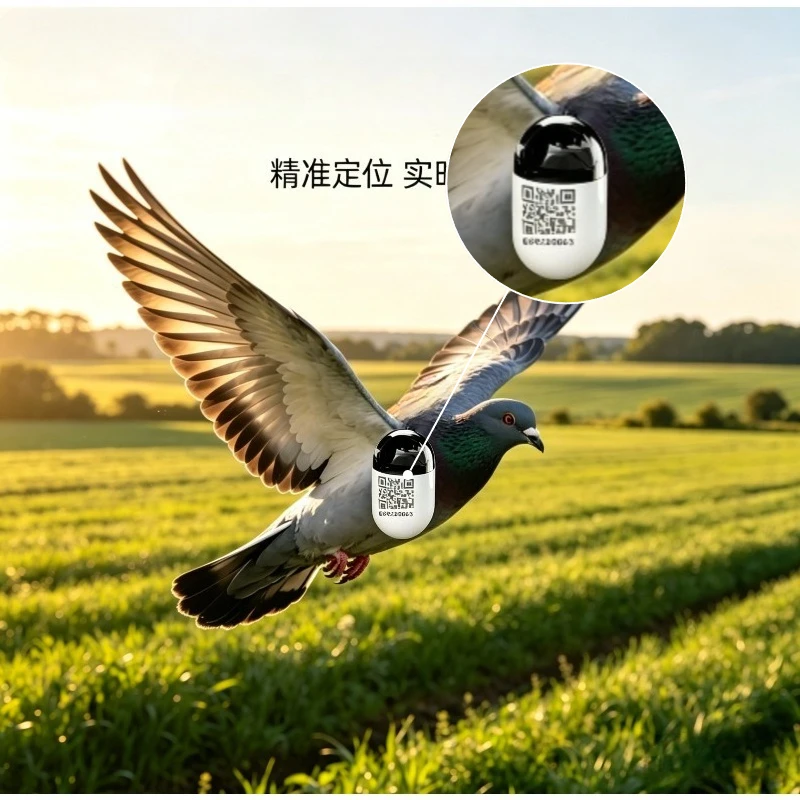Pigeon GPS Locator for Outdoor Flying-- New Waterproof Mini Real Time Pigeon GPS Locator with 4G Network