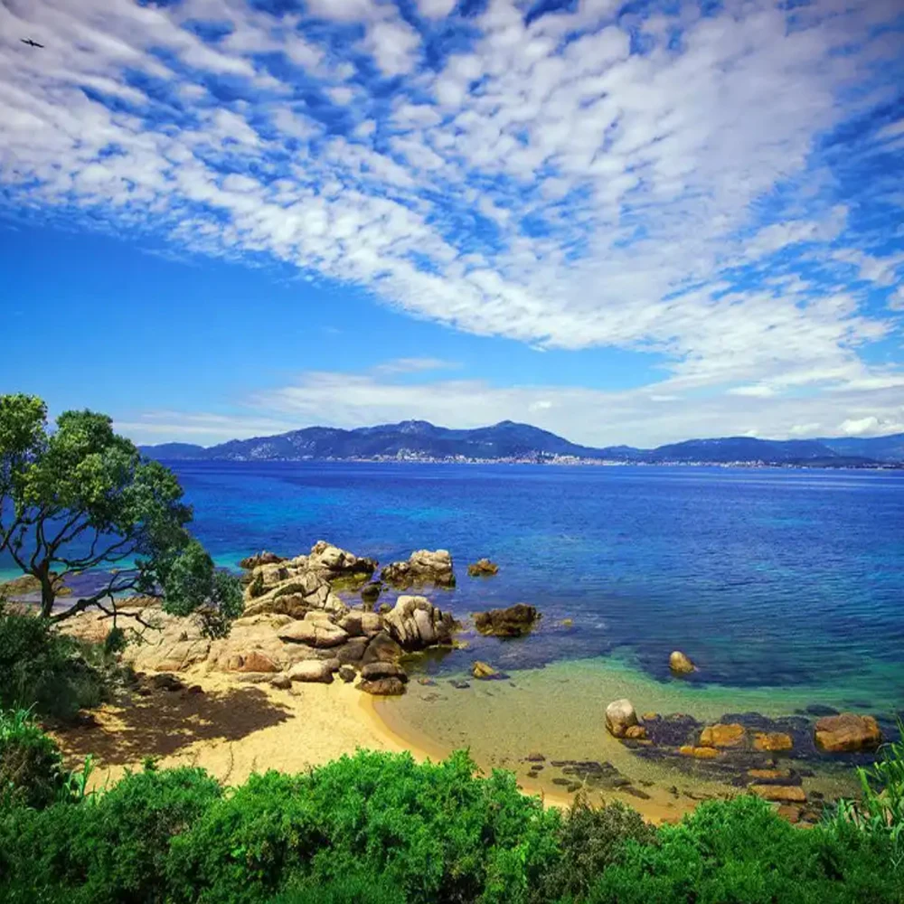 

Auto Reset Chip Decoder Board For Epson SureColor SC T3000 T5000 T7000 T3280 T5280 T7280 T3250 T5250 T7250 Printer chip decoder