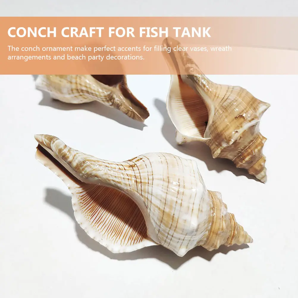 Decorative Conch Shell for Aquarium Fish Tank Home Decor Desktop Craft Beach Theme Vase Wreath Natural Seashell Landscape view 5