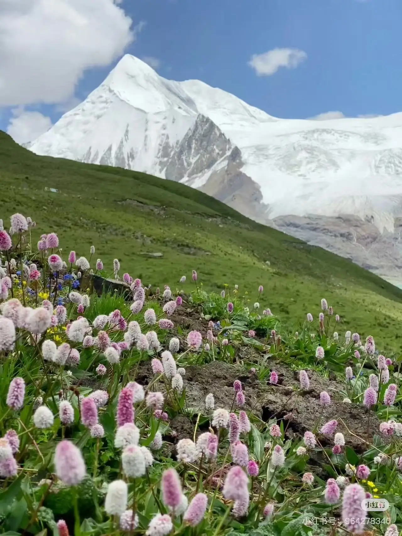 

EMSzero Neo Portable Electromagnetic RF Body Slimming Muscle Stimulate Fat Removal Body Slimming Build Muscle EMS Machine 6500W