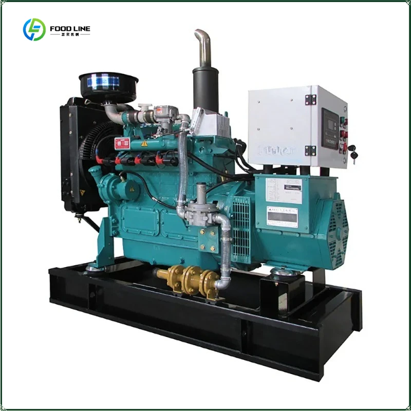 Multiple Power Multiple Models Natural Gas Genset Small Natural Gas Generator FL Customized