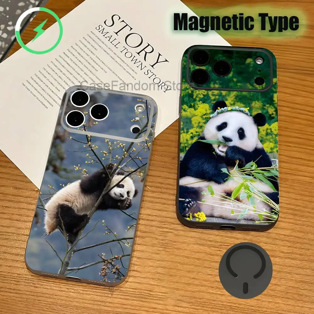 

Animal Panda Fubao For iPhone 17,16,15,14,13,12,11,Pro,Max,Plus Transparent gray Phone Case Magnetic Wireless Charging