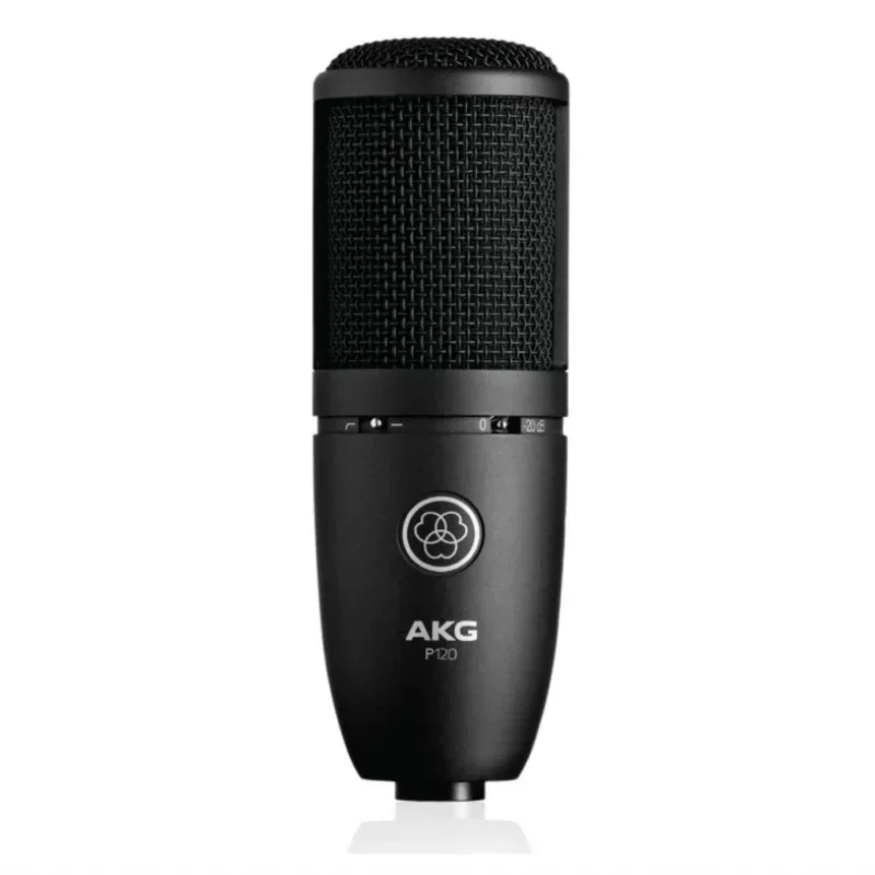 P120 Condenser High-Performance General Purpose Microphone Professional Recording Studio Microphone for Live Voice Broadcasting