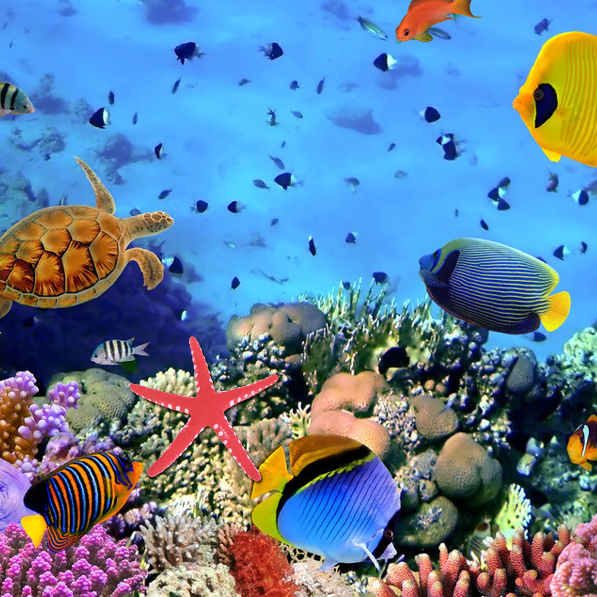 

Star For Tank Decoration Aquarium Landscape Ornament Plastic Aquarium Decoration Fish Plastic Fish Pet Supplies