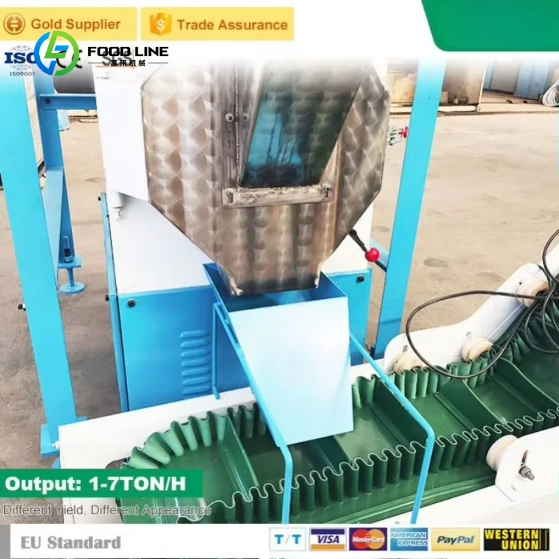 Customized Energy Efficient Chicken Feed Pellet Press Machine Feed Production Line