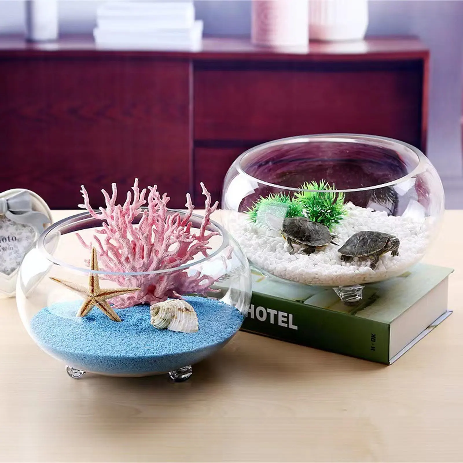 bol-en-verre-rond-pour-plantes-succulentes-terrarium-plantes-aeriennes-centre-de-table-decoratif-affichage-hydroponique-aquarium-decoration-maison-et-mariage