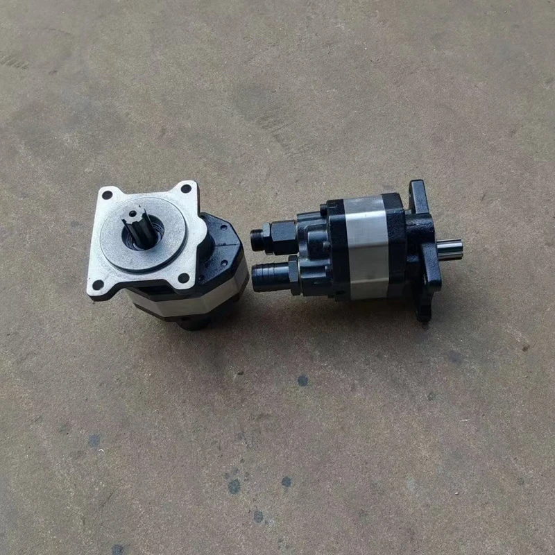 50 63 80 Hydraulic Gear Pump Oil Pressure Pump Rear in and Rear Out Oil Pump