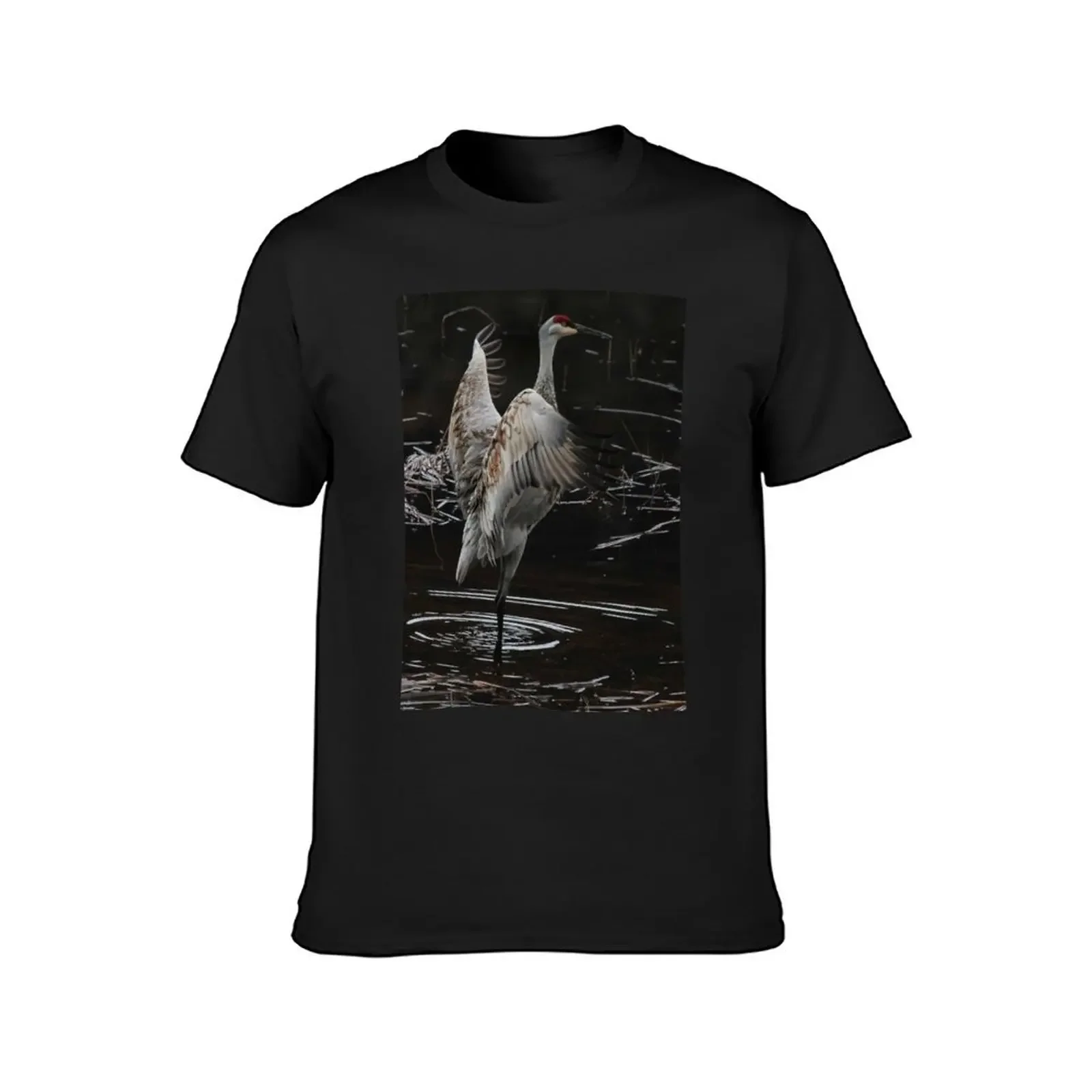 The Crane Ballet #2 T-Shirt graphic t shirts man t shirt plus sizes oversized clothes for men