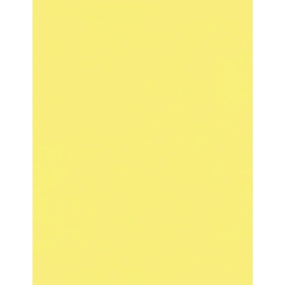 Premium 60lb Pastel Canary Yellow Printer Paper Pack
