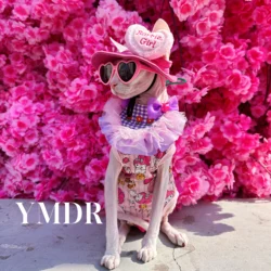 Fashion Cat Pink Vest with Sunglasses for Sphynx Cat Summer Short Sleeves for Kittens with Hat Cat Loungewear for Devon Rex