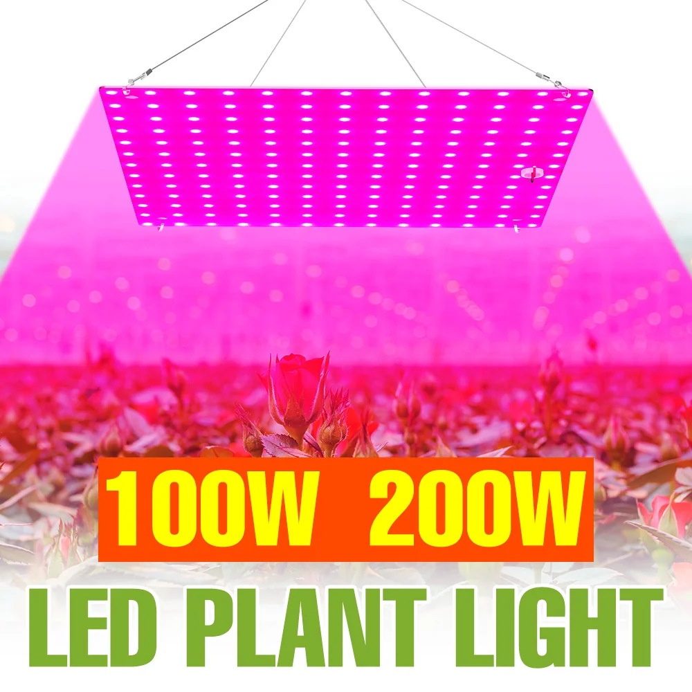 

200W LED Grow Light Full Spectrum Indoor 220V Quantum Plate Plant Fill Lamp Flower Succulents Potted Cultivation Lamp US/EU Plug