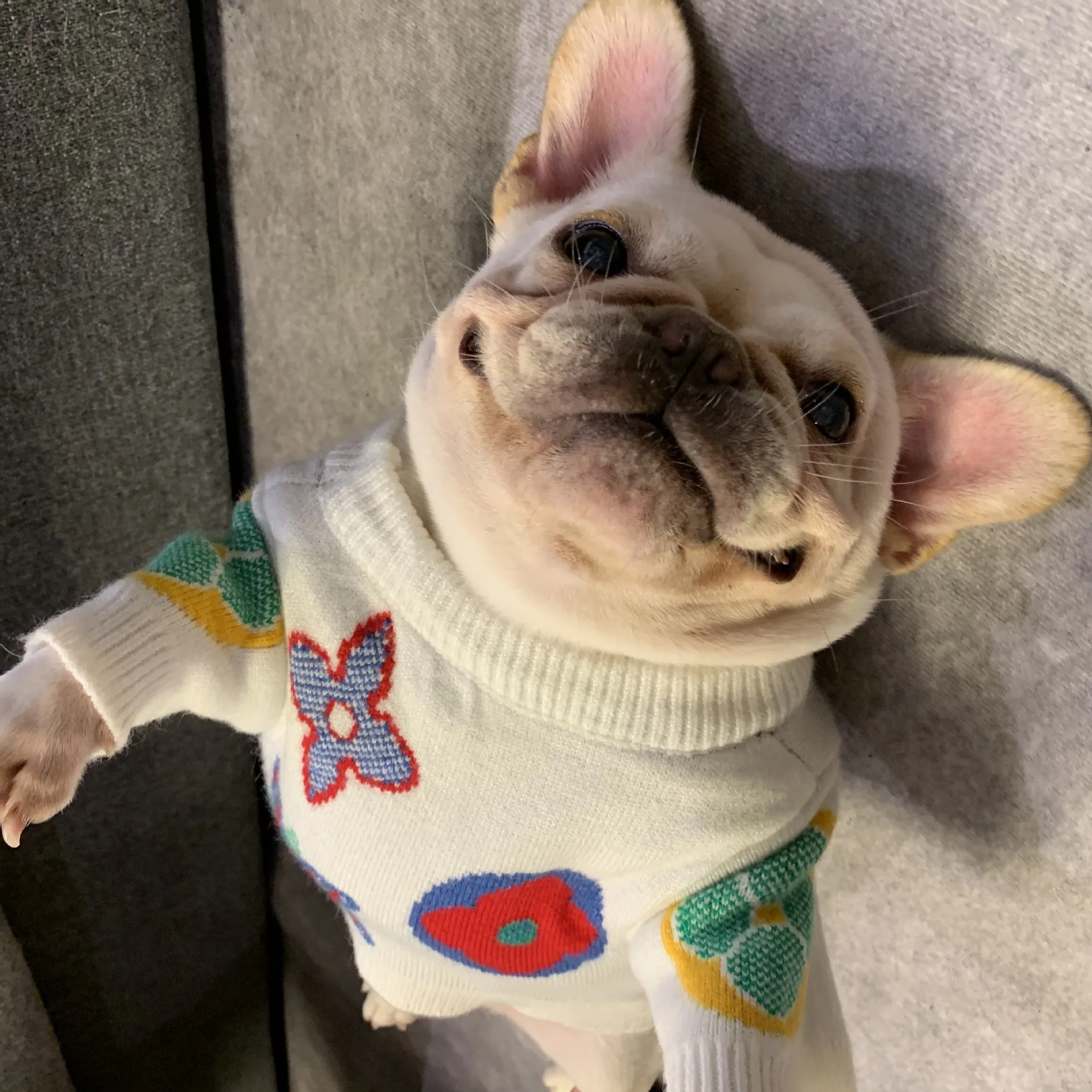 Winter Clothes For Small Dogs Designer Luxury Dog Clothes Winter french Bulldog Teddy Dog Clothes Warm Clothes For Medium Dogs