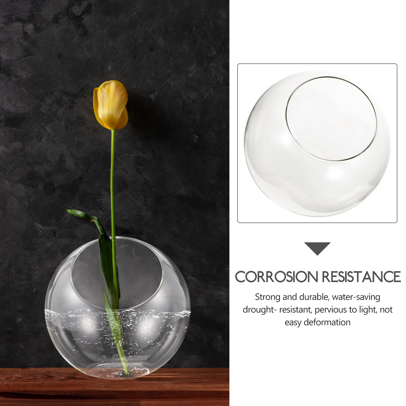 زجاجة طحالب زجاجية صديقة للبيئة، حاوية زجاجية متينة مقاومة للسقوط، حاوية زجاجية للمناظر الطبيعية الصغيرة #3