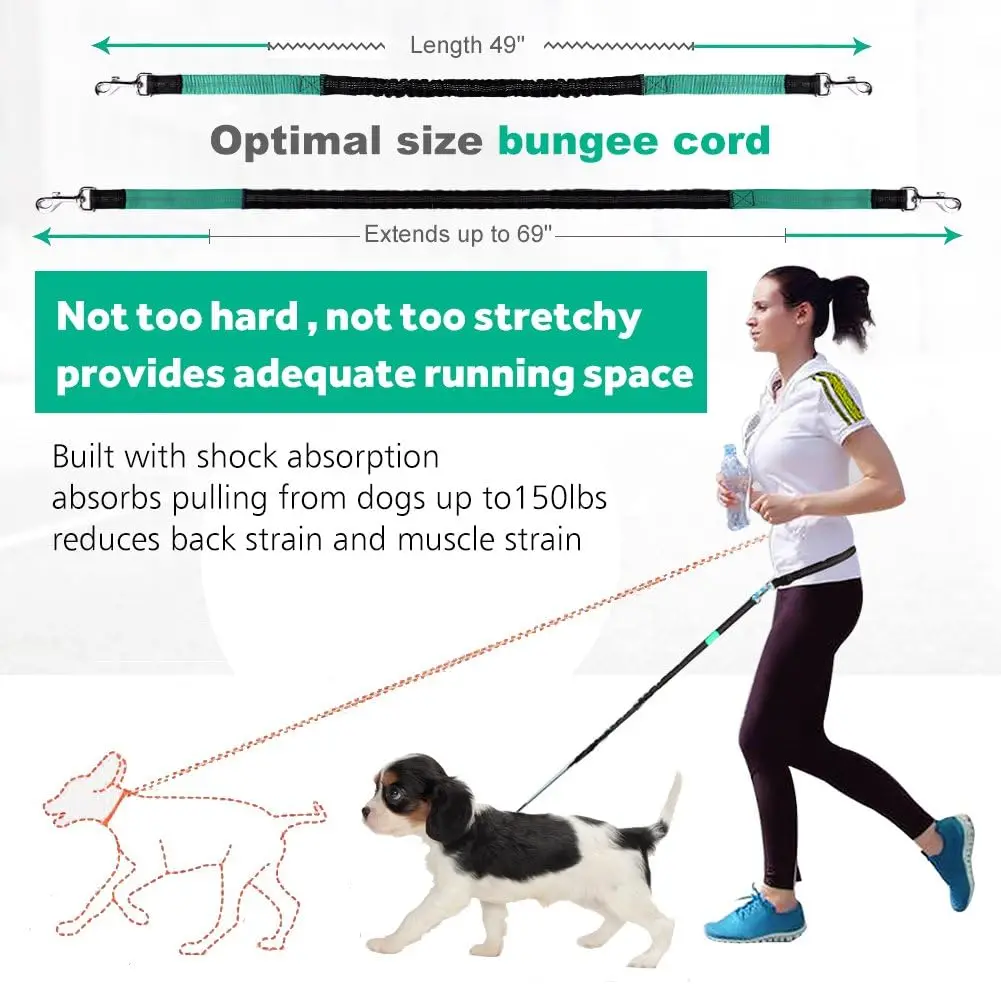 Hands Free Dog Leash for Running Walking Training Dual-Handle Reflective Bungee Poop Bag Dispenser Pouch Adjustable Waist Belt