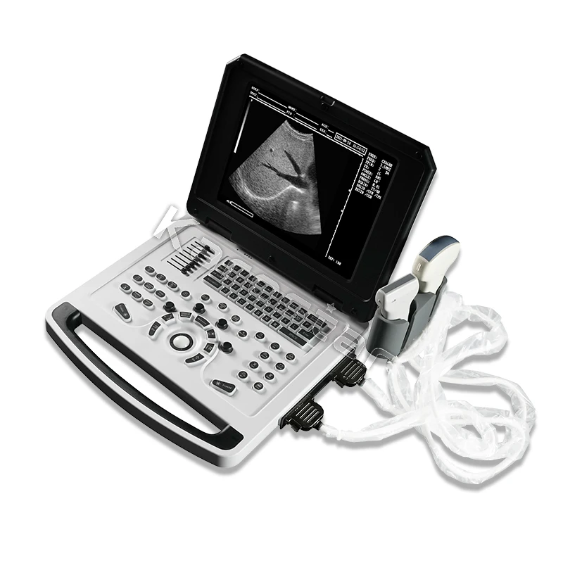 Wholesale Full Digital Veterinary Ecografo 10/12 Inch LCD Display Portable Ultrasound For Animals