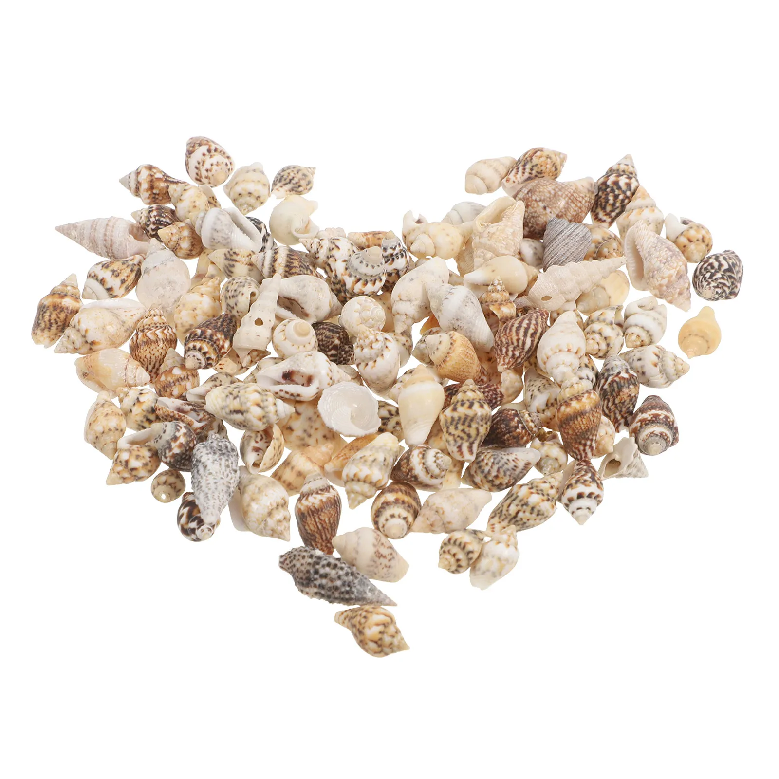 Tiny Small Natural Mixed Seashells for Beach Wedding Home Decor Vase Fillers Party DIY Crafts Mini Seashells