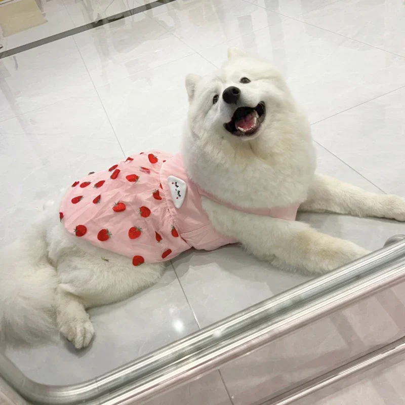 Summer Dog Dress French Bulldog Corgi Samoyed Husky Border Collie Labrador Golden Retriever Big Large Dog Clothes Pet Clothing