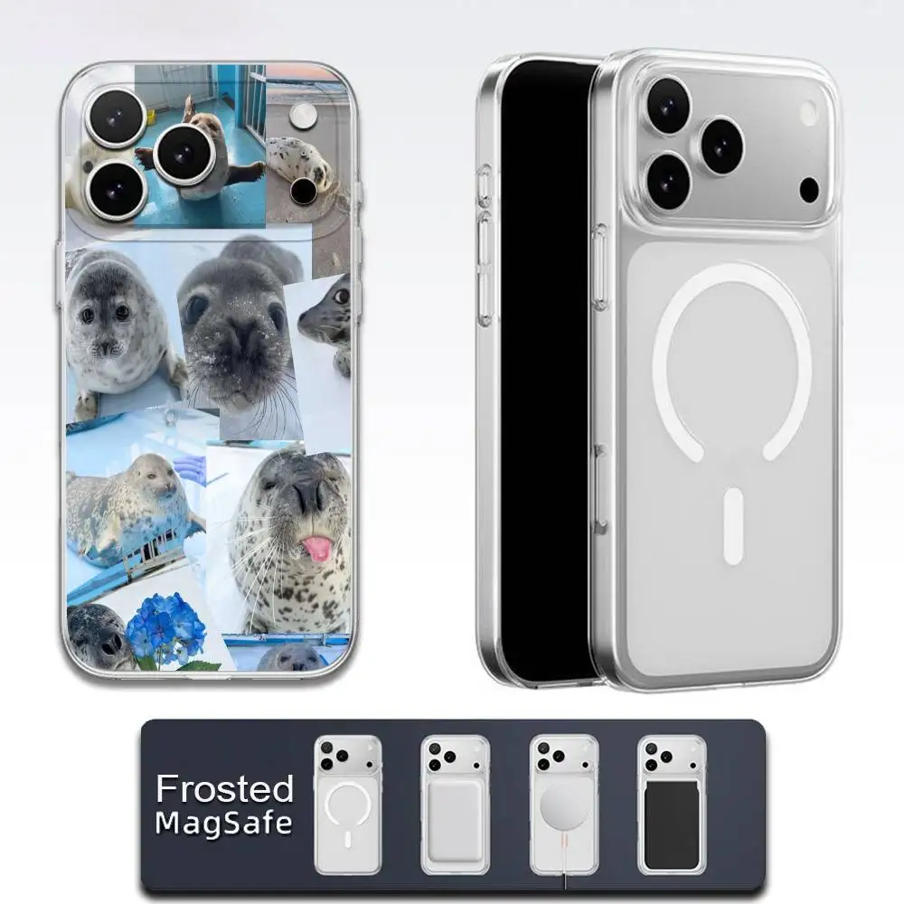 Seal Seals Collage Phone Case For iPhone 17,16,15,14,13,12,11,Pro,Max,Plus,E,Air,Mini Magsafe Frosted Transparent - Image 6
