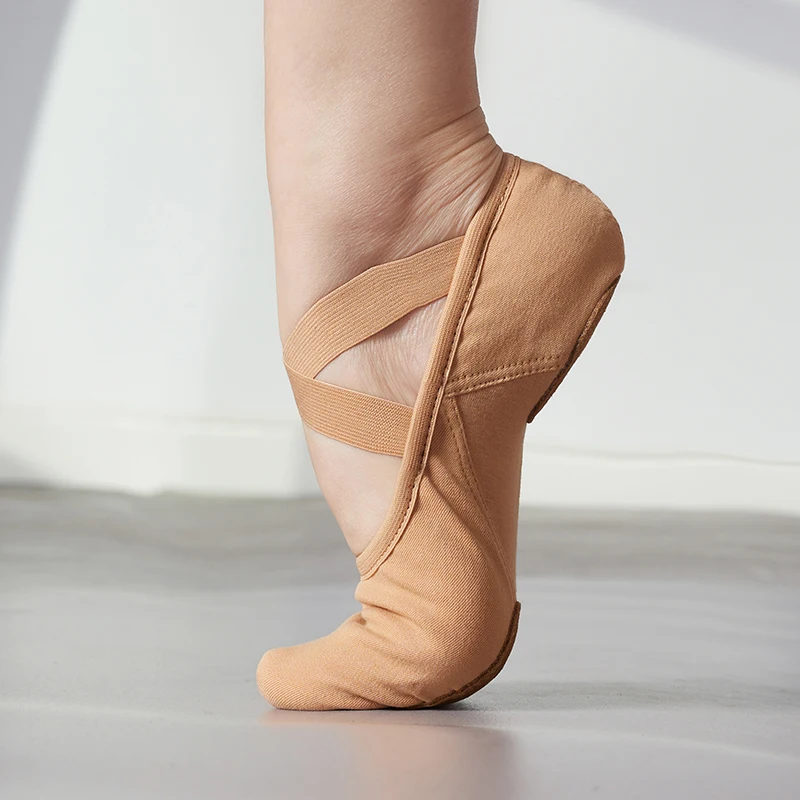 Profession elle Balletts chuhe, Tanz schuhe aus Stretch-Stoff, spitzen freie Tanz schuhe für Damen, Übungs schuhe mit weichen Sohlen für Damen