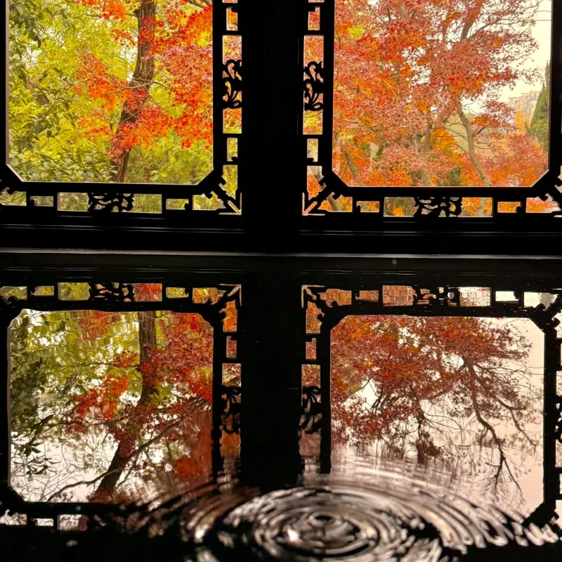 Controlador de vuelo GEPRC GEP-F405-HD V2 STM32F405 tipo C USB 3-6S LiPo 5-9V BEC 7,7g para FPV Freestyle Quadcopter piezas de bricolaje