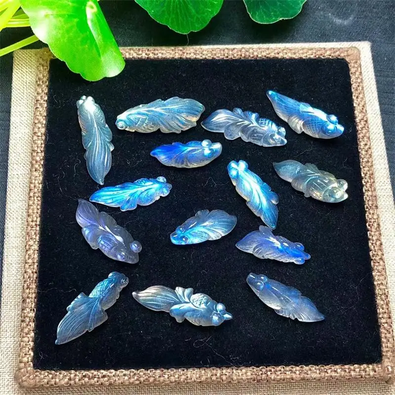 5pcs Natural Grey Moon Stone Goldfish Mini Carving Crystals Healing Stone Craft DIY Figurine Home Room Decoration Gift 15 -21mm