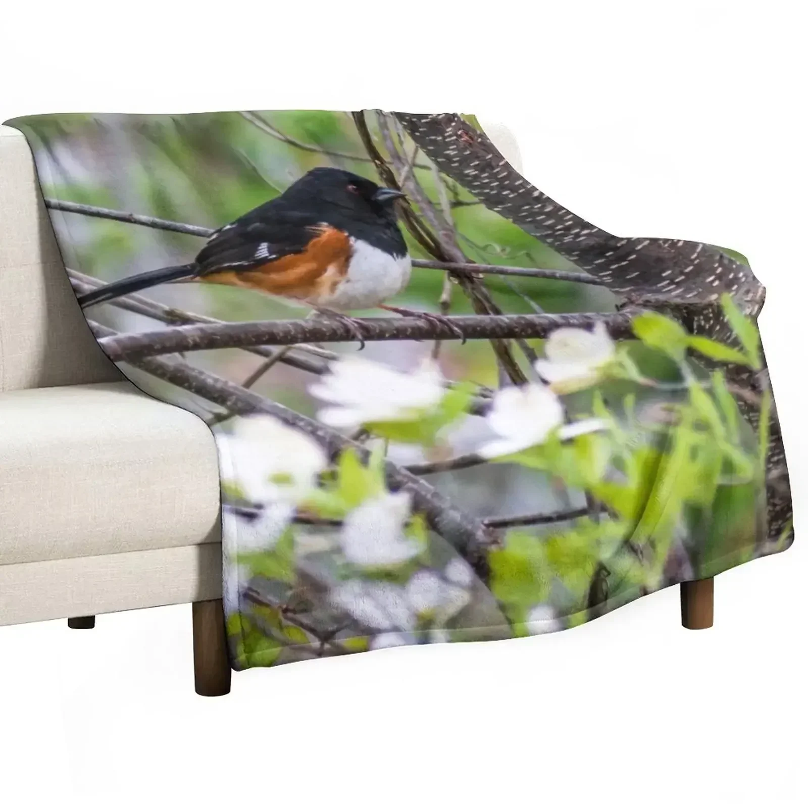 Eastern Towhee and Dogwood Blooms Throw Blanket Soft Plush Plaid wednesday Custom Polar Blankets