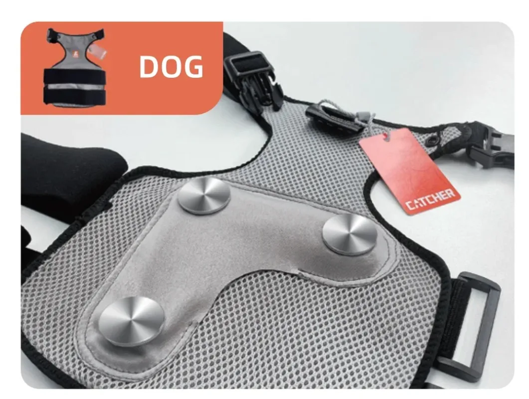 VeterinaryWearable Single-Lead Holter Recorder Pets cat Dog Heart Rate     Electrocardiogram     ing