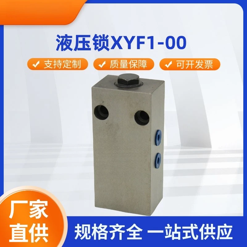 Hydraulic lock XYF1-00 two-way hydraulic lock mining mine stainless steel bracket protection valve accessories two-way lock
