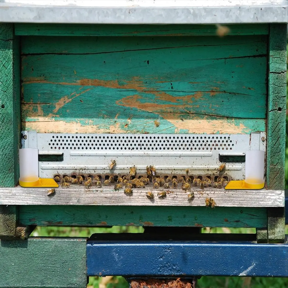 FOR HOME Bee Feeder, Hive Beekeeping Water Dispenser, Bee Hive Entrance Feeder, Beekeeping Tools (5-Pack)