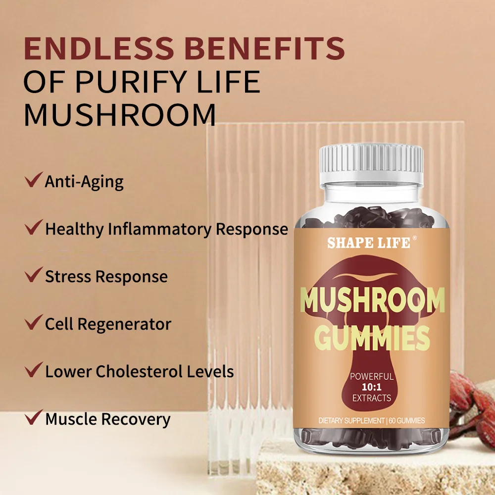 

Mushroom fudge Extraction of various plants - Brain Supplement for Memory and Focus Relief Stress Better Mood