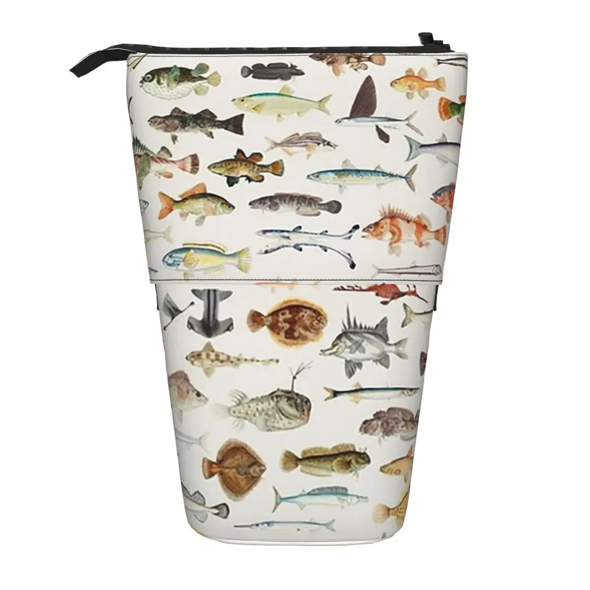Fish Chart Reversible Pencil Case for Boy Girl Gifts Pen Box Pencil Bag Stationery Supplies Pen Holder Bag
