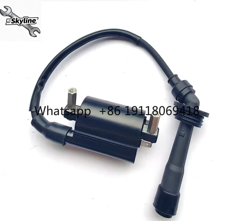 250cc Motorcycle ignition coil ignitor TNT250 TNT 250 TNT25 BN251 TRK251 (1-Cylinder Engine)