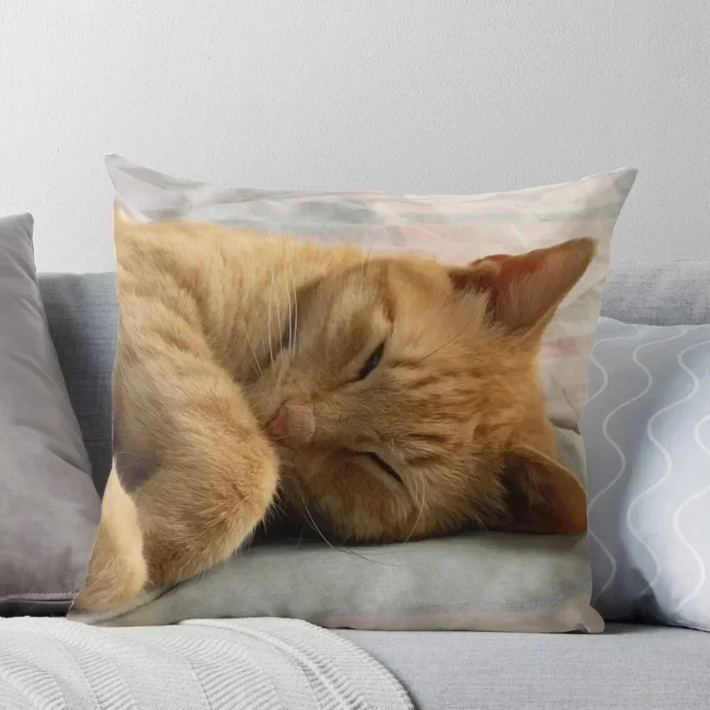 

Ginger Cat Sleeping Throw Pillow Decorative pillowcase Luxury Pillow Cover Luxury Cushion Cover pillow