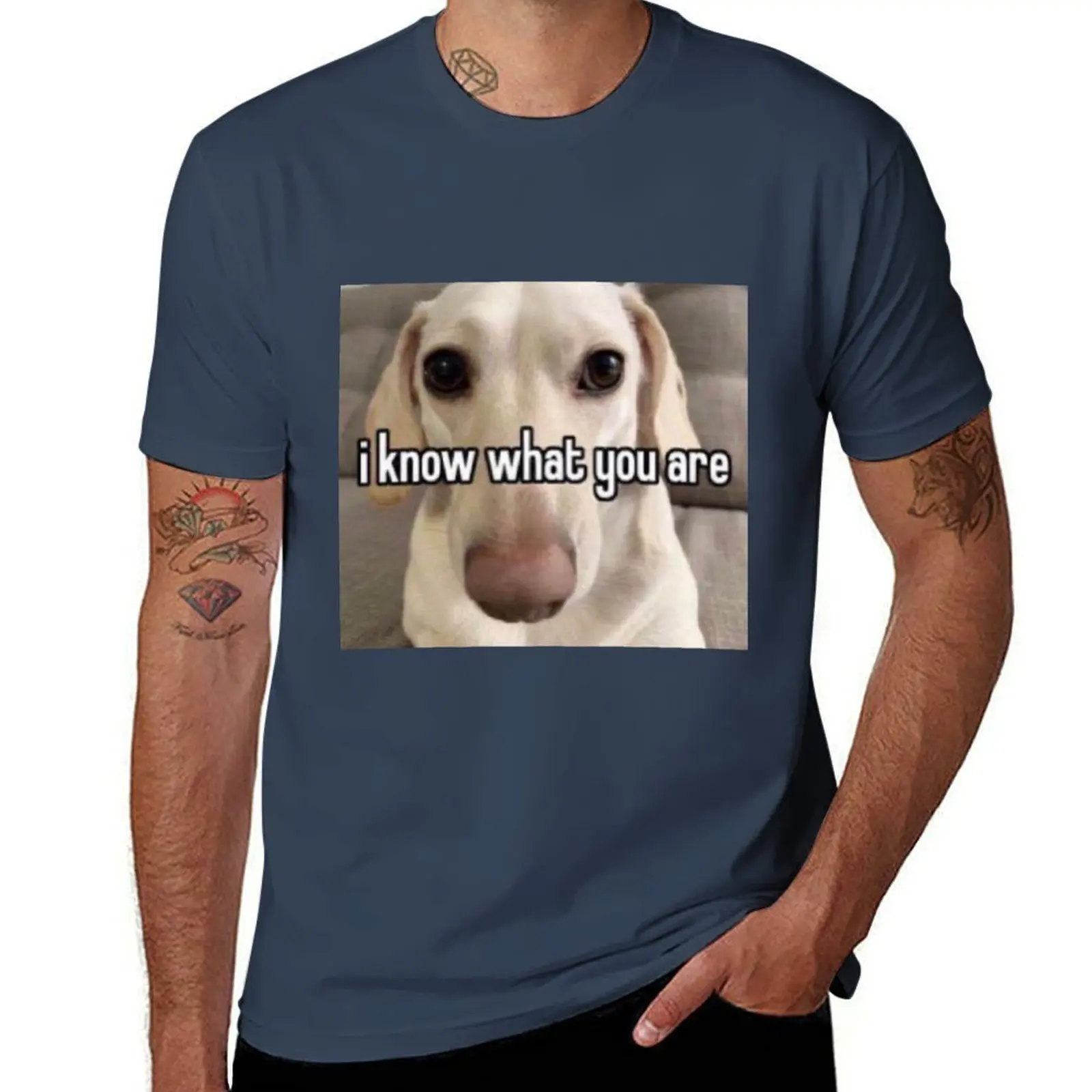 

homophobic dog: i know what you are T-Shirt t shirts for man cotton t shirt for man 100 percent cotton T-Shirt
