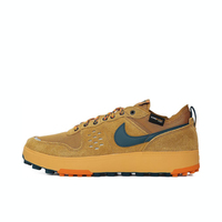 NIKE 2025 Men's NIKE C1TY PRM Casual Sports Shoes HJ4316-700