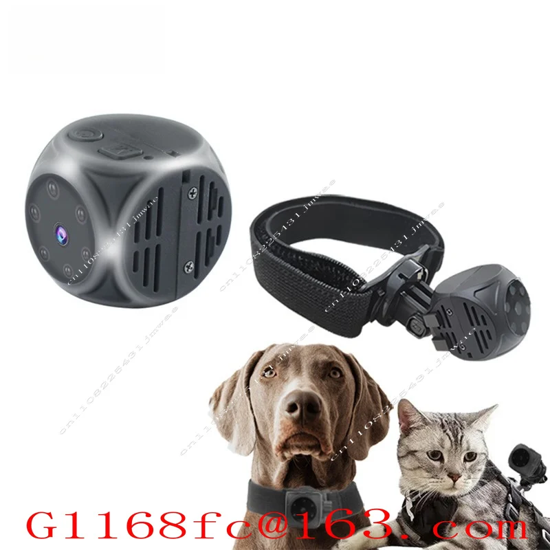 Pet Perspective Camera Sports DV Little Finger Camera 1080P High-definition Card
